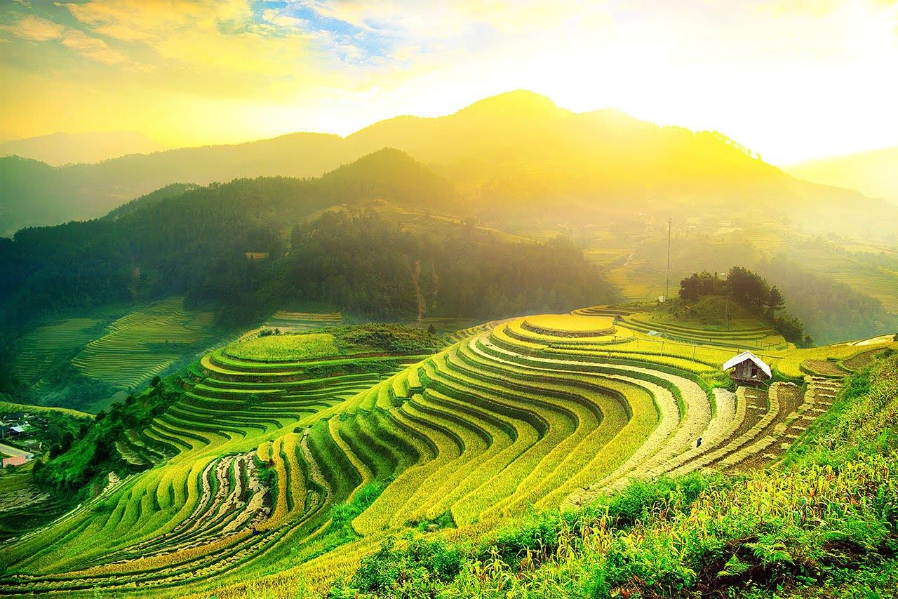 Di sản ruộng bậc thang Hoàng Su Phì kiệt tác đất Hà Giang